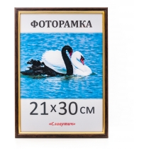 Рамка для фото Славутич 21х30 см коричнева з золотом
