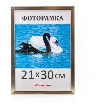 Рамка для фото Славутич 21х30 см срібляста