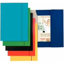 Папка-бокс на резинці  картонна Esselte А4, колір 